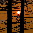 5c8ab6e02500005206819ada