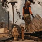 5c8ab6e13b000037066c6e6a