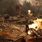 5c8ab6e3250000bd05819ae8