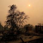 5c8ab6e5360000ba1a6bee26