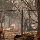 5c8ab6e62500000704c981ac