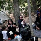 5c8b224c3b000002076d0ed7