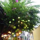 5c8b20772300005300e7a453