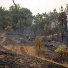 5c8b2781230000dd04244031