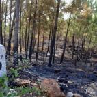 5c8b2784250000e203ca2f61