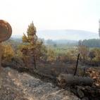 5c8b27843b000054066d1c68