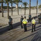 5c8b2cb4250000e203ca3a8e