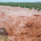 Las fuertes precipitaciones registradas en las &uacute;ltimas horas han provocado inundaciones en zonas de cultivo de varias localidades extreme&ntilde;as, entre ellas Almendralejo.