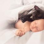 5c8acc462400000a05a3b516