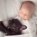 5c8acc472500001304c9aada