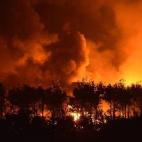 5c8aa2de230000dd042364e3