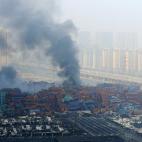 5c8aa2df2500000704c955b8