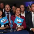 Tragedia en seis fotos: as&iacute; ha vivido la ultraderecha alemana su resultado en las elecciones