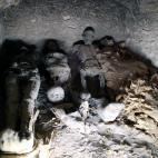 El interior de la tumba reci&eacute;n descubierta.