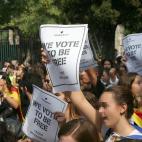 5c8aaf423b000054066c608d