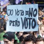 5c8aaf43230000d5042381d5