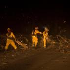 5c8a3d793b000037066bb9e8