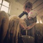 5c8b3434240000f404a4578f