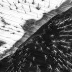 'Yin and Yang', ganadora en la categoría Arte en la naturaleza.