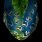 'Huevos de esperanza', ganadora en la categoría de Otros animales.