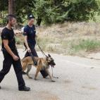 La policía registró los alrededores en busca de pistas sobre lo ocurrido