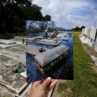 5c8b3e9820000045047077b9