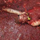 5c8b416e250000e203ca61f1