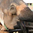 5c8a95d82000009e046f5425