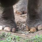 5c8a95d82400006b054c07be