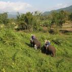 5c8a95d823000004012347b9