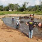 5c8a95d92400006d054c07c0