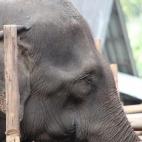 5c8a95da2400004205a342ab