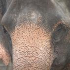 5c8a95da250000bd05815273