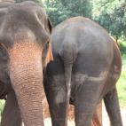 5c8a95da2300002f00e6beb2