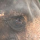 5c8a95db2300007f012347bd