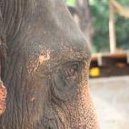 5c8a95db2300007f012347bf