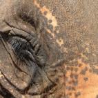 5c8a95db36000006186ba66e