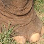 5c8a95dc250000e203c93884