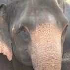 5c8a95dc3b000054066c2709