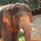 5c8a95dc230000d5042347c1