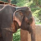 5c8a95dc360000a61b6ba672