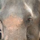 5c8a95dd360000a61b6ba674