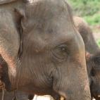 5c8a95dd230000d5042347c3