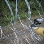 5c8aaf8f23000004012382a4