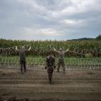 5c8aaf902000009e046f8de2