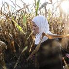 5c8aaf932400000a05a37e0c