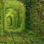 En realidad es una vía ferroviaria que conecta Kleven con una serie de fábricas. La vegetación ha ido creciendo entorno a ella, formando un túnel natural. Dice la leyenda que si paseas con la persona que amas y pides un deseo se hará realid...