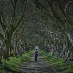 Localizado en un paraje de ensueño el Pazo de Santa Cruz de Ribadulla o Pazo de Ortigueira tiene unos jardines sencillamente espectaculares. Pasear entre sus olivos es trasladarte en el tiempo para admirar el esplendor de la época barroca, ade...
