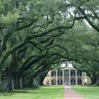 La plantación de Oak Alley en el lado oeste del rio Mississippi es uno de los paisajes nacionales protegidos de Estados Unidos. Su entrada con robles de más de 300 años es sin duda una de las más representativas de la zona.