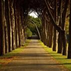 Este pasaje está en el Parque Nacional de Brijuni, en Croacia. Está formado por 14 pequeñas islas en el norte del mar Adriático, un lugar típico de veraneo de gran belleza. Aquí, además de sorprenderte con la naturaleza, podrás encontrar...